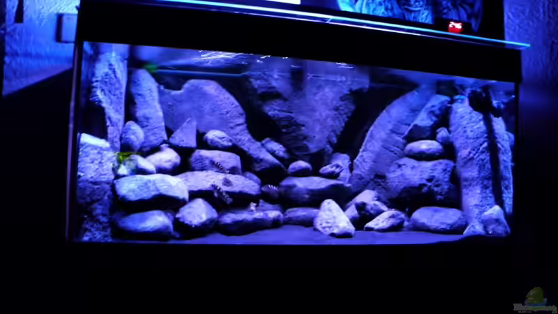 ein älterer aufbau von LaEy (11)