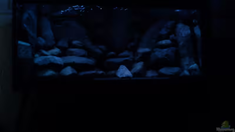 ein älteres bild aber man sieht so schön die nachtbeleuchtung von LaEy (6)