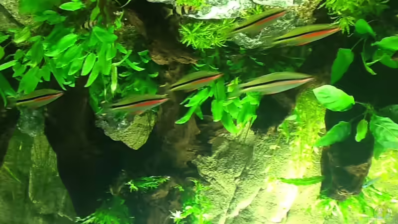 Ein anderes foto ... von Olli Nano (2)