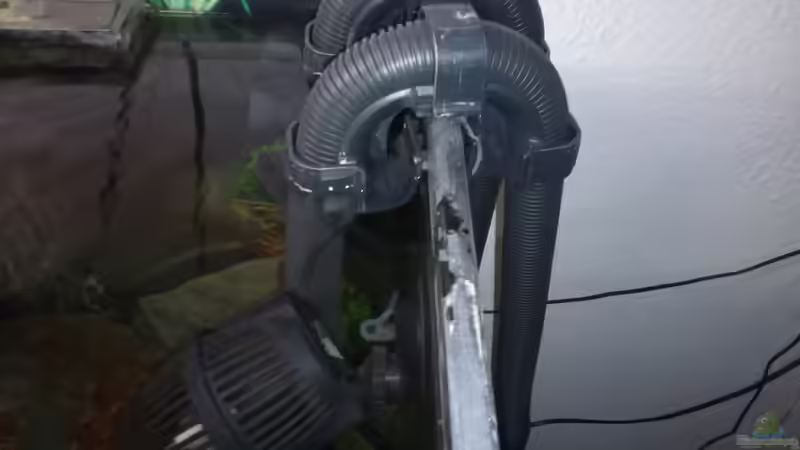 Ein/Auslass des FX 5,alte Strömungspumpe der Marke SunSun die jetzt in einem meiner von Wasserfest ;-) (21)