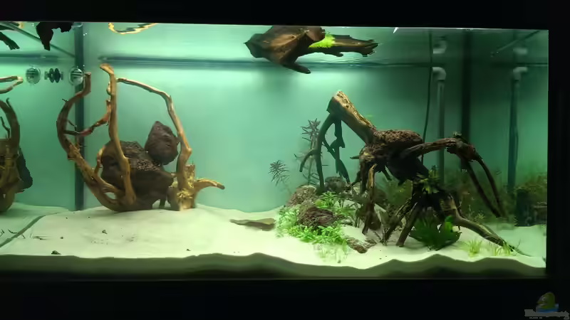 Ein Bild vom einrichten von Daniel Gall (8)