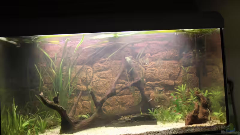 Ein bisschen umgeräumt von Maximilian Landrock (3)