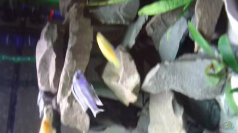 ein bisschen verschwommen -.- von Tobias Kluge (4)