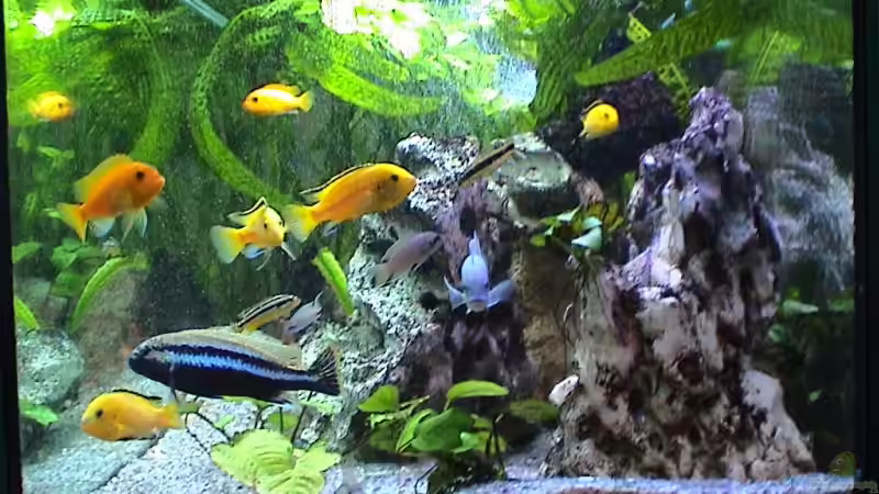 Ein Blick durch die rechte Seitenscheibe von andi (3)