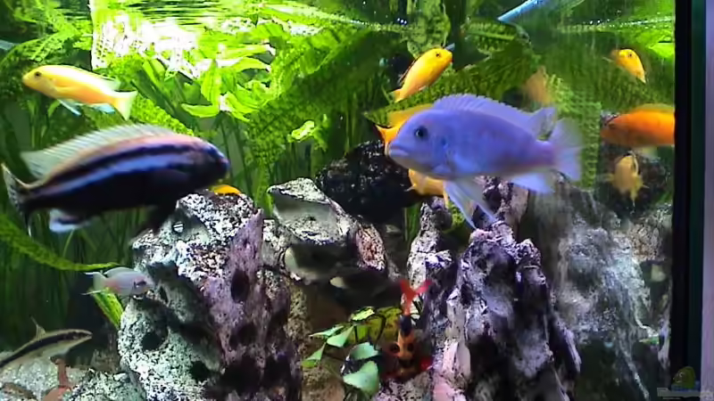 Ein Blick durch die rechte Seitenscheibe von andi (4)