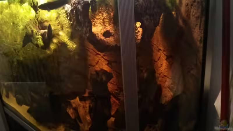 Ein Blick in die Korkröhre von AquaTobi90 (5)