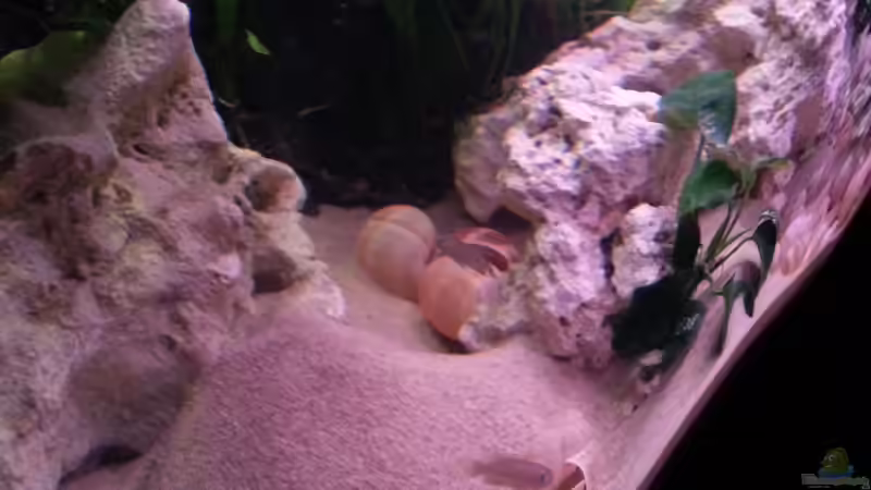 Ein Blick nach rechts von Daniel Kastner (4)