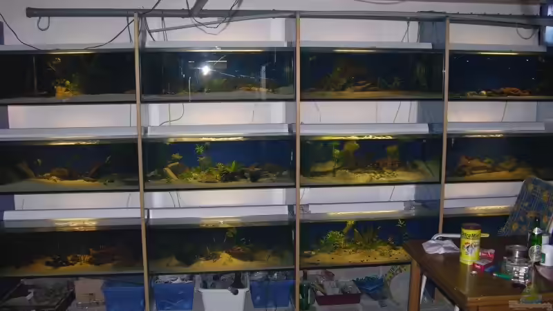 ein blick nach rechts von dornwels (4)