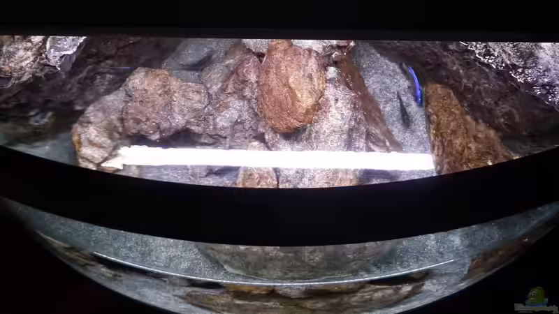 Ein Blick von oben in das Becken von DER YBBSTALER (19)