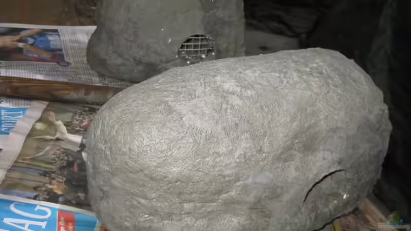 ein etwas längerer der andere breiter von HessiJames (8)