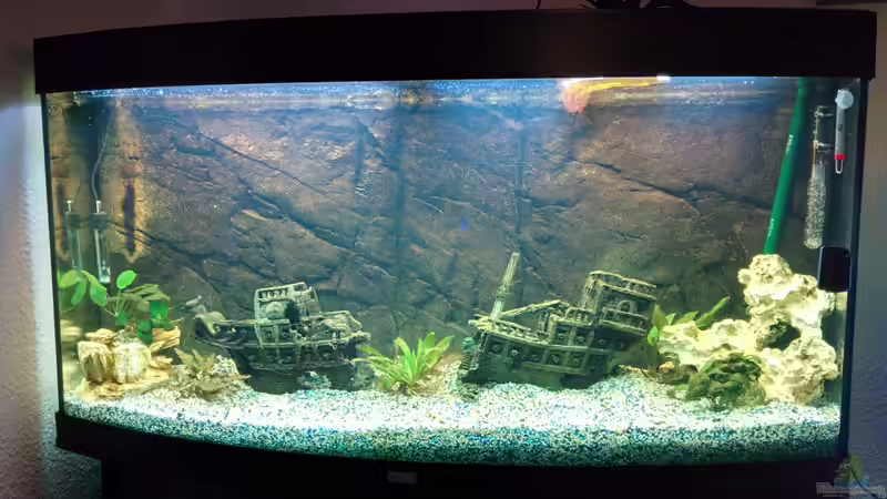 Ein freier Blick aus Schiff von Johannes Lemke (2)