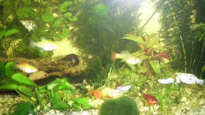 Ein kleiner Ausschnitt! von Christina Betz (13)