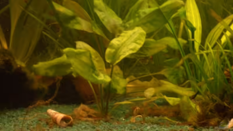 ein kleiner Ausschnitt von Sirko Fricke (6)