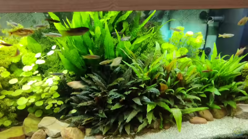 Ein kleiner Ausschnitt von Thomas Kreuter (3)