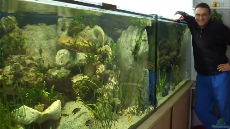 Ein kleiner Blick auf beide Becken (das rechte wird hier vorgestellt) von Robert Bröhl (2)