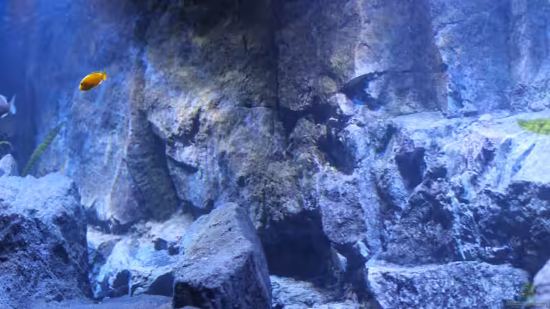 Ein kleiner Fisch im großen Ozean :-) von chR576 (5)