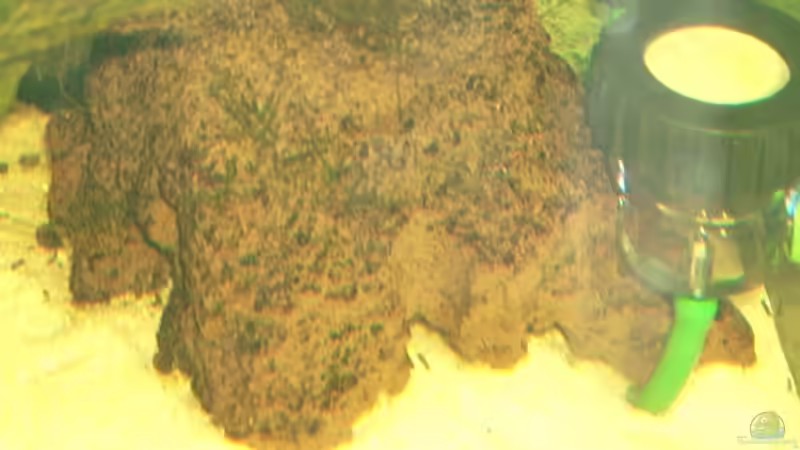 ein kleiner Lavastein der auch als Höhle genutzt wird von Manuela Kutschke (7)