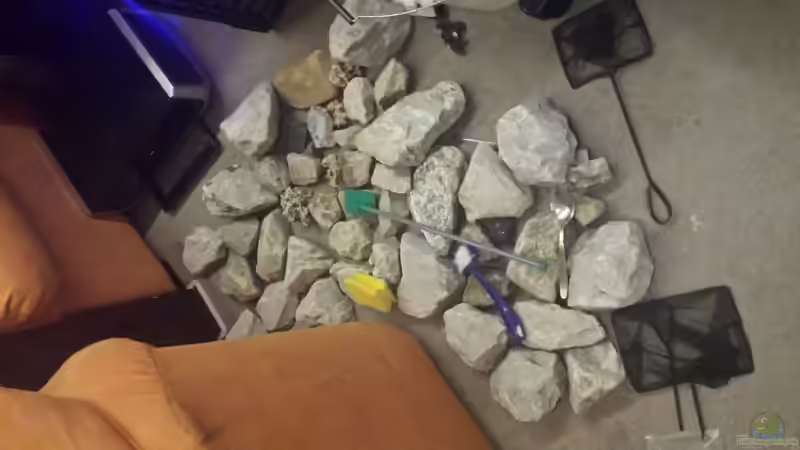 ein kleiner Teil der Steinaufbauten von Thomas Riemenschneider (20)