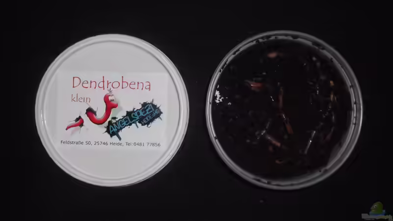 Ein Leckerbissen für Alle von Aquaristricks (22)