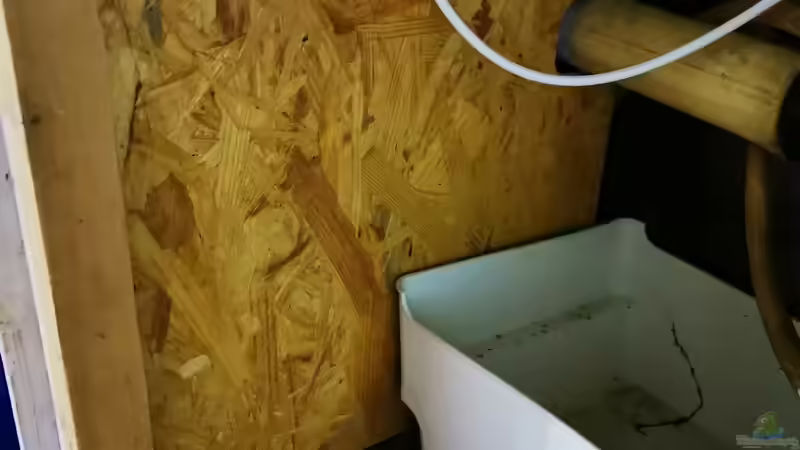 Ein Magnetventil steuert Zufluss zur Osmoseanlage. Wassersensor auf dem Boden.  von Odonata (22)