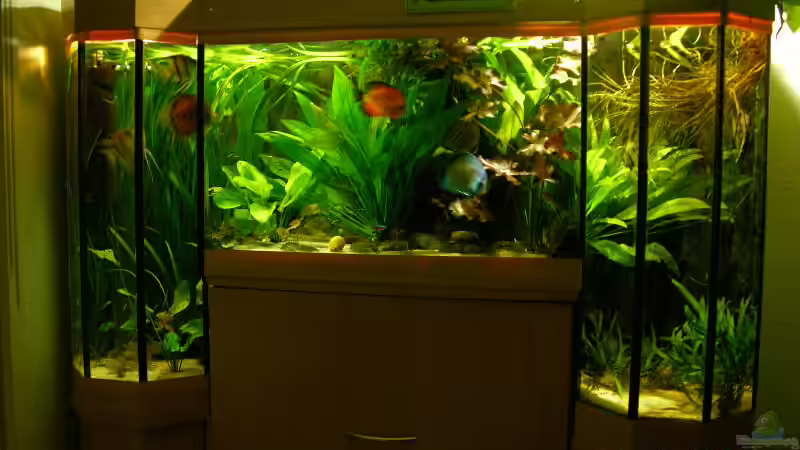 ein paar Ansichten von Werner Buntin (2)