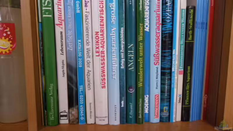 ein paar aquarienbücher von Bazzi (42)