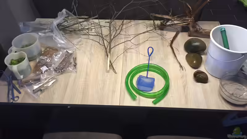 Ein paar Birkenäste, Seemandelbaumblätter und Rinde von Andy Garnier (10)