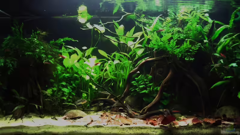 Ein paar monate später... von BMF (2)