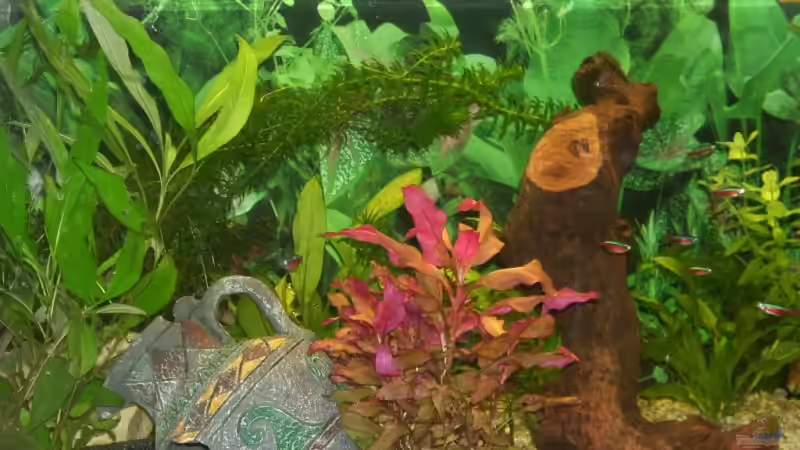 Ein paar Neons - 08.02.2009 von Steffen Wenzel (18)