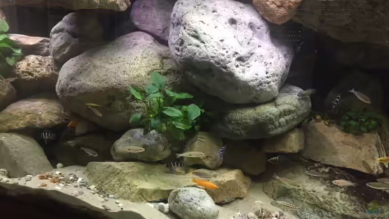 Ein paar RockZolid River Stone Module ergänzt von Crenii (4)