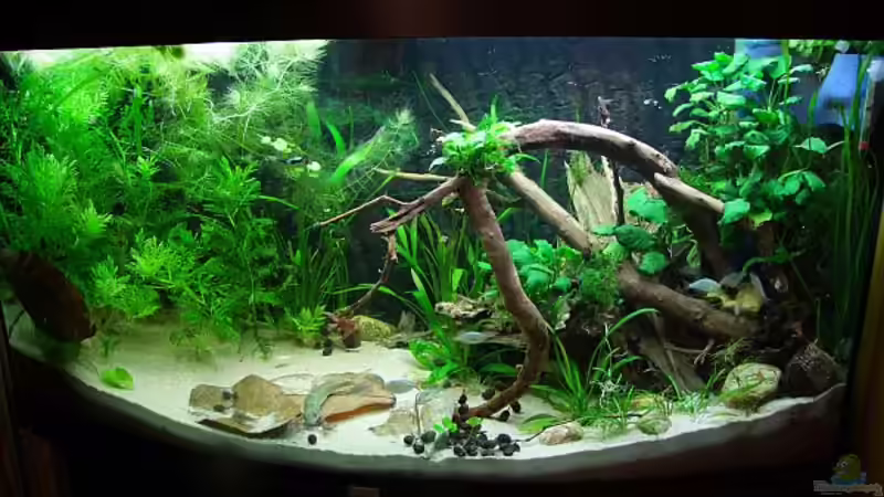 Ein paar Wochen nach Einrichtung. Bisschen kahl noch :-) von Denise83 (3)