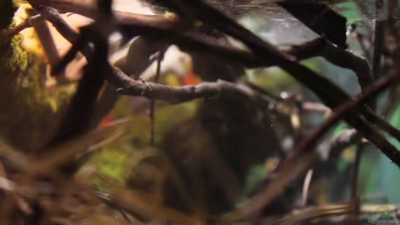 ein Seitenblick ins innere von Falk (16)