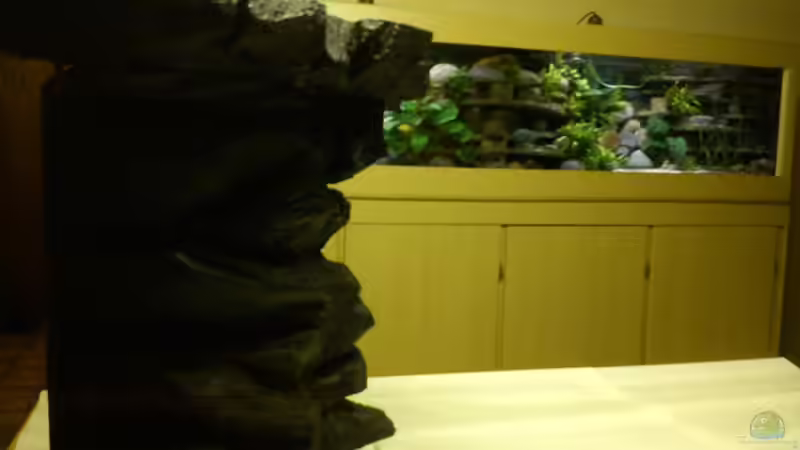 ein stein aus der näheren umgebung von atlantis, was ganz besonderes^^ von Afrika NEUlinG (5)