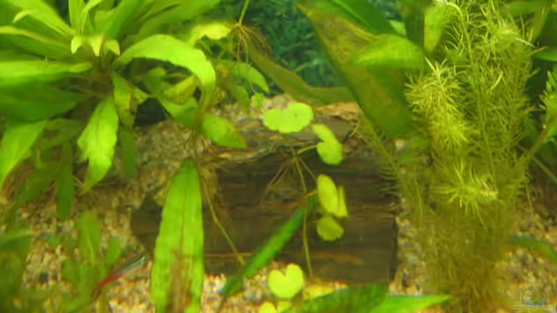 Ein Stein von andi.B (18)