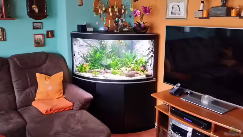 ein Super Platz fügt sich wunderbar in die Wohnung ein von Steffen und Felix (22)