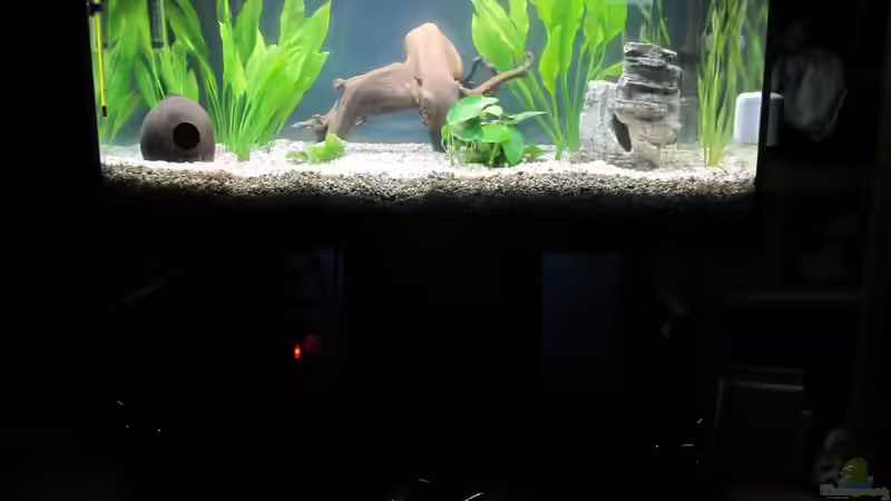 Ein Tag nach der Einrichtung von Alex B. (6)