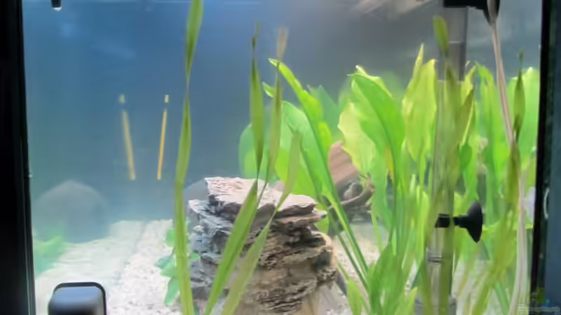 Ein Tag nach der Einrichtung von Alex B. (8)