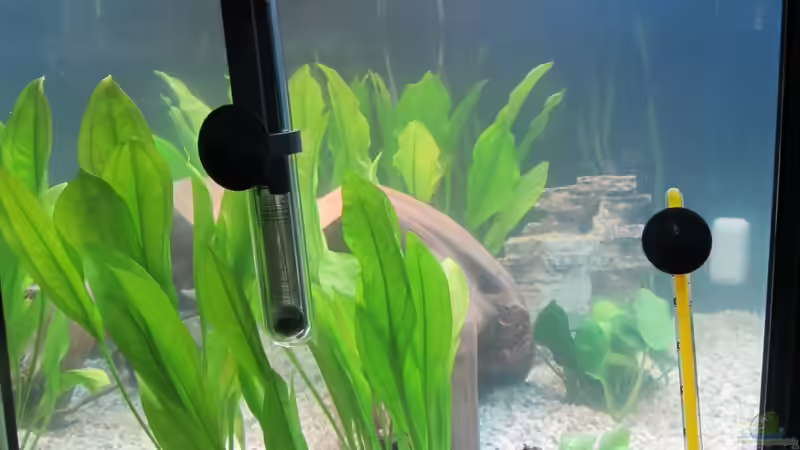 Ein Tag nach der Einrichtung von Alex B. (9)