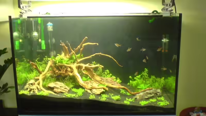 Ein Tag nach der Neueinrichtung von Gunnar Otte (4)