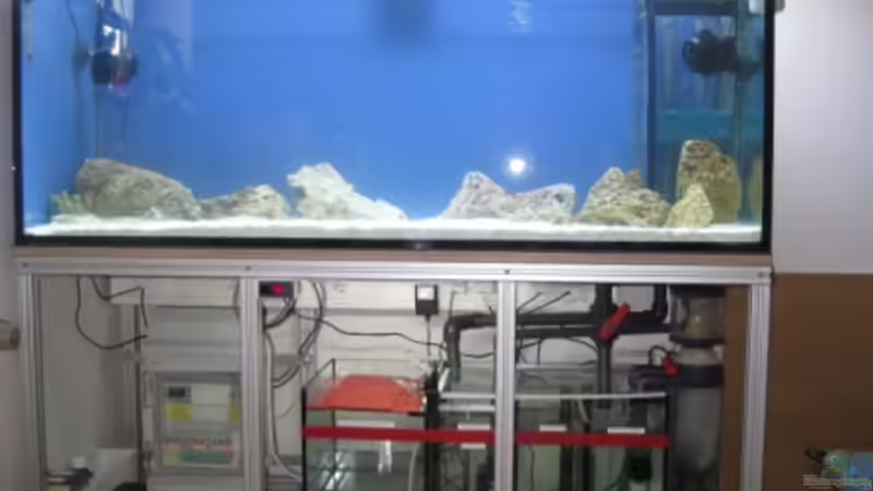 Ein Tag später. von Harald (3)