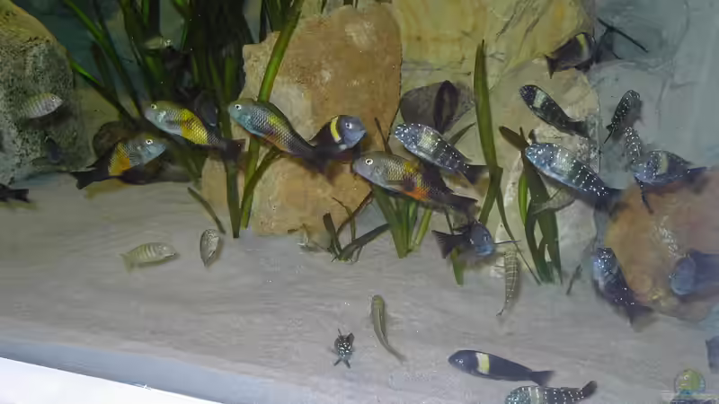 Ein Teil der Bande von Enrico Pinkert (11)