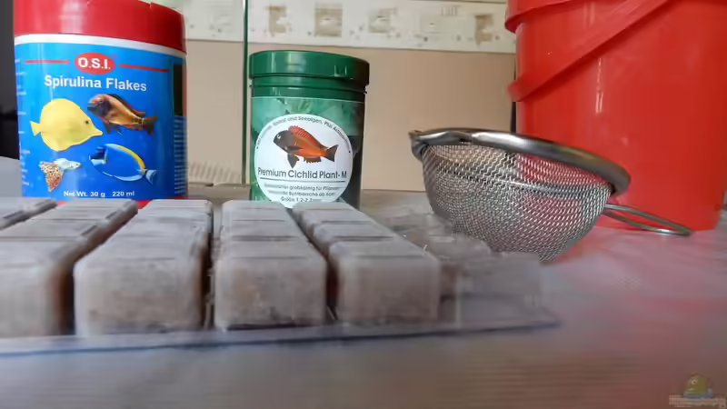 ein Teil des Futters von AJ (26)