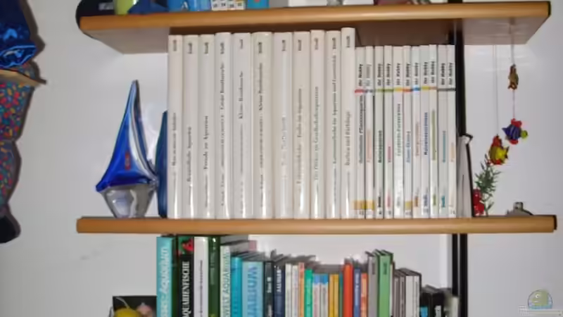 Ein Teil meiner Aquaristikbücher von Bazzi (40)