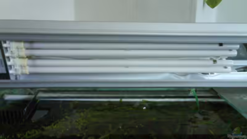 Ein teil meiner Beleuchtung von Der Harzer. (16)