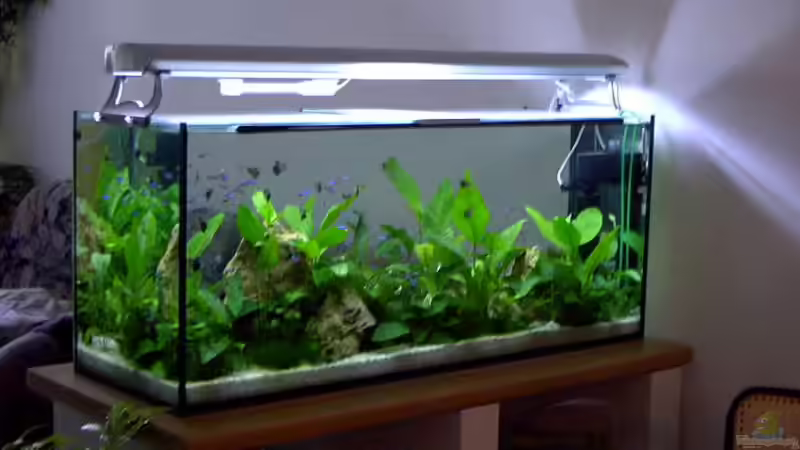 ein Teil vom Unterbau von Gabriela Lang (3)