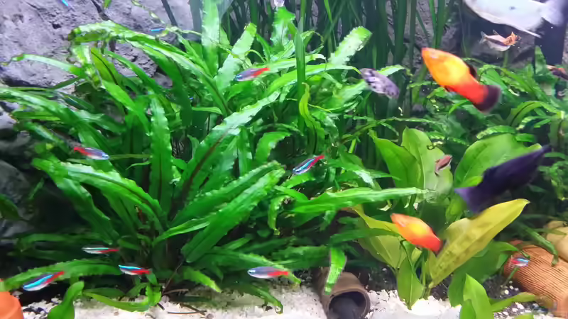 ein top Pflanzenwuchs von Steffen und Felix (57)