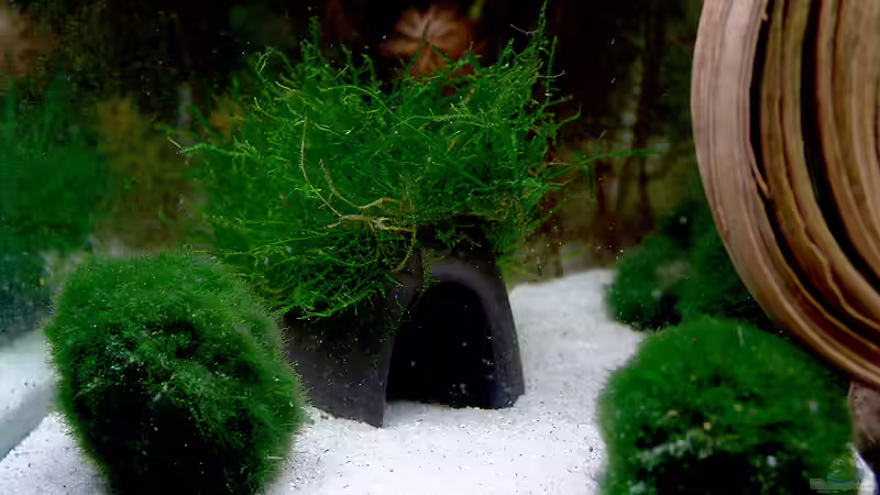 ein weiteres Versteck von Stefan S. (7)