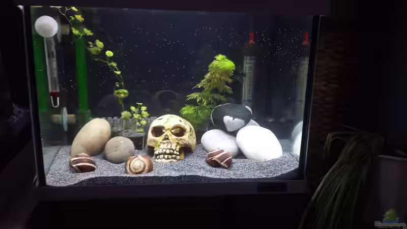 Ein wenig Deko von Kevin Engelsberger (1)