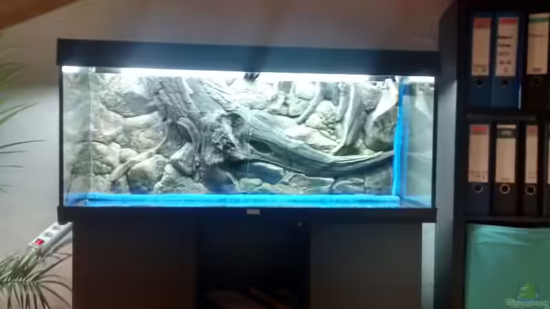 Einbau der 3D Rückwand - Februar 17 von Atacama (2)