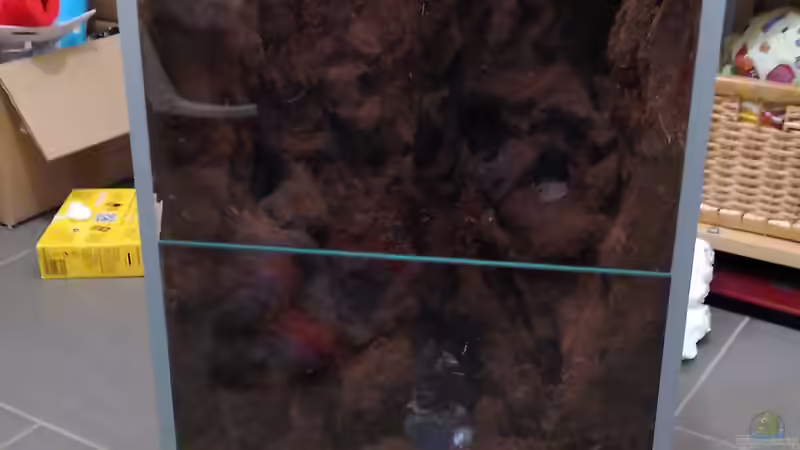 Einbau der Aluschienen für die Falltür  von Stephi (25)